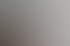 Drei Frauen sitzen lächelnd an einem Konferenztisch im Büro während einer Besprechung vor einem bunten Wandgemälde.