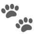 Zwei graue Tierpfotenabdrücke auf einem dunkelgrünen Hintergrund.