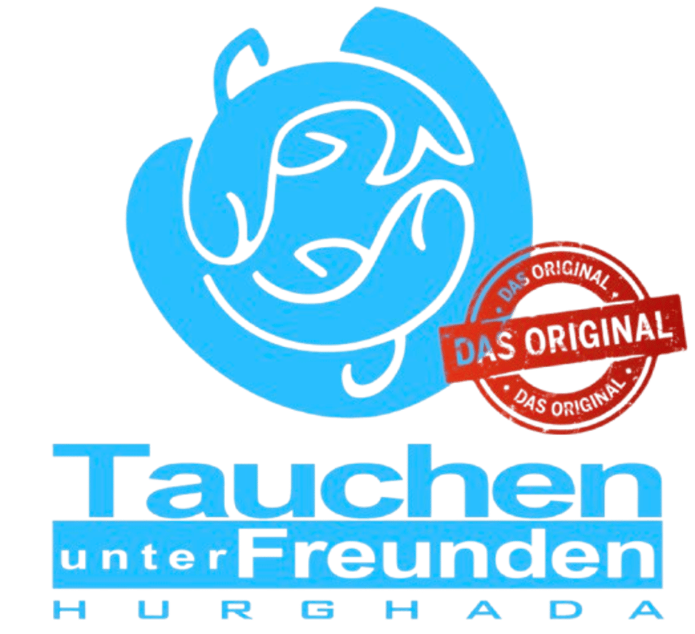 Blaues Logo mit zwei Fischen und Text „Tauchen unter Freunden Hurghada“ sowie rotem Stempel „Das Original“.