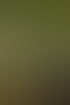 Ein Messestand der Marke Zespri Kiwifruit mit Logo, hängenden Pflanzen, Glühbirnen und einem Mitarbeiter hinter dem Tresen.