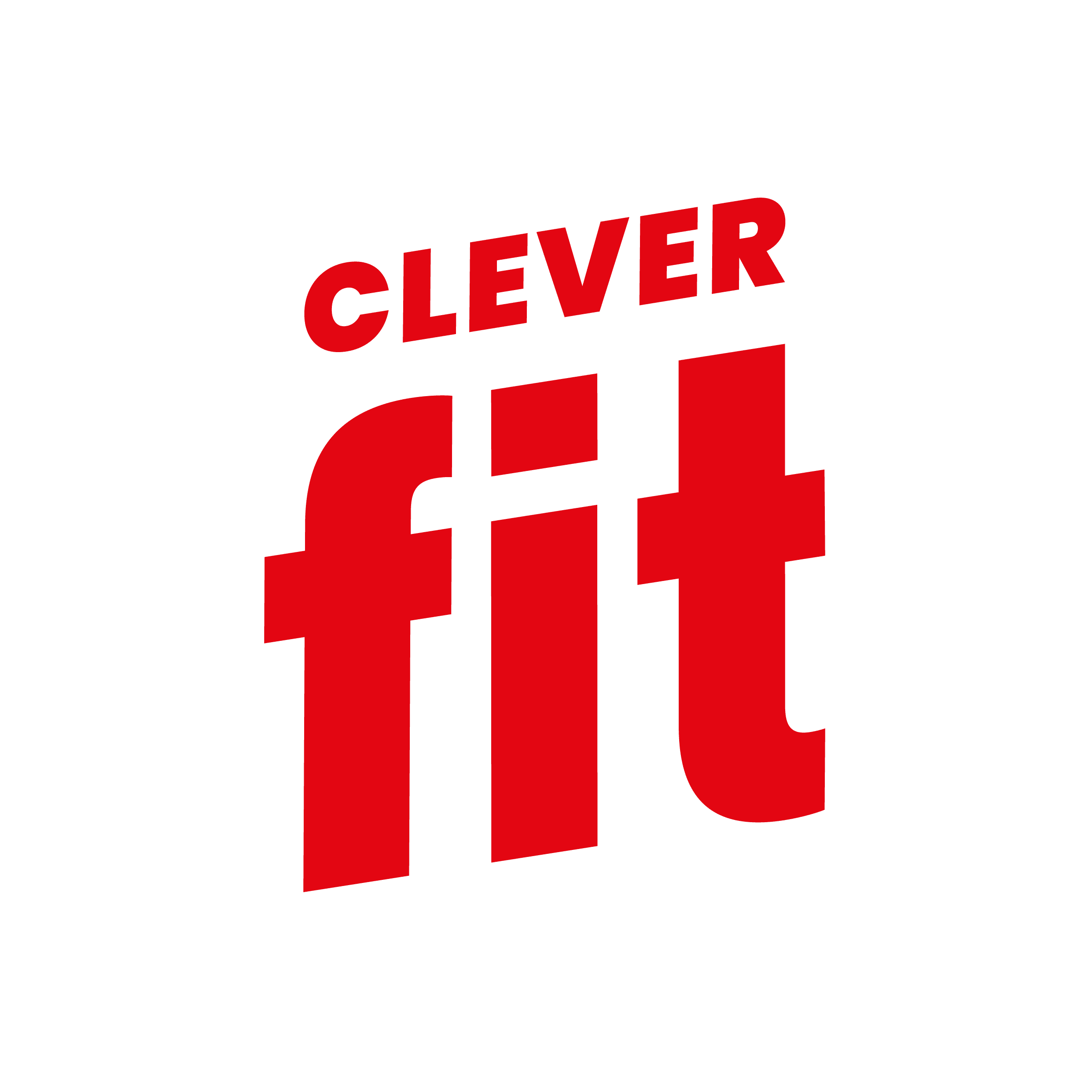 Clever Fit