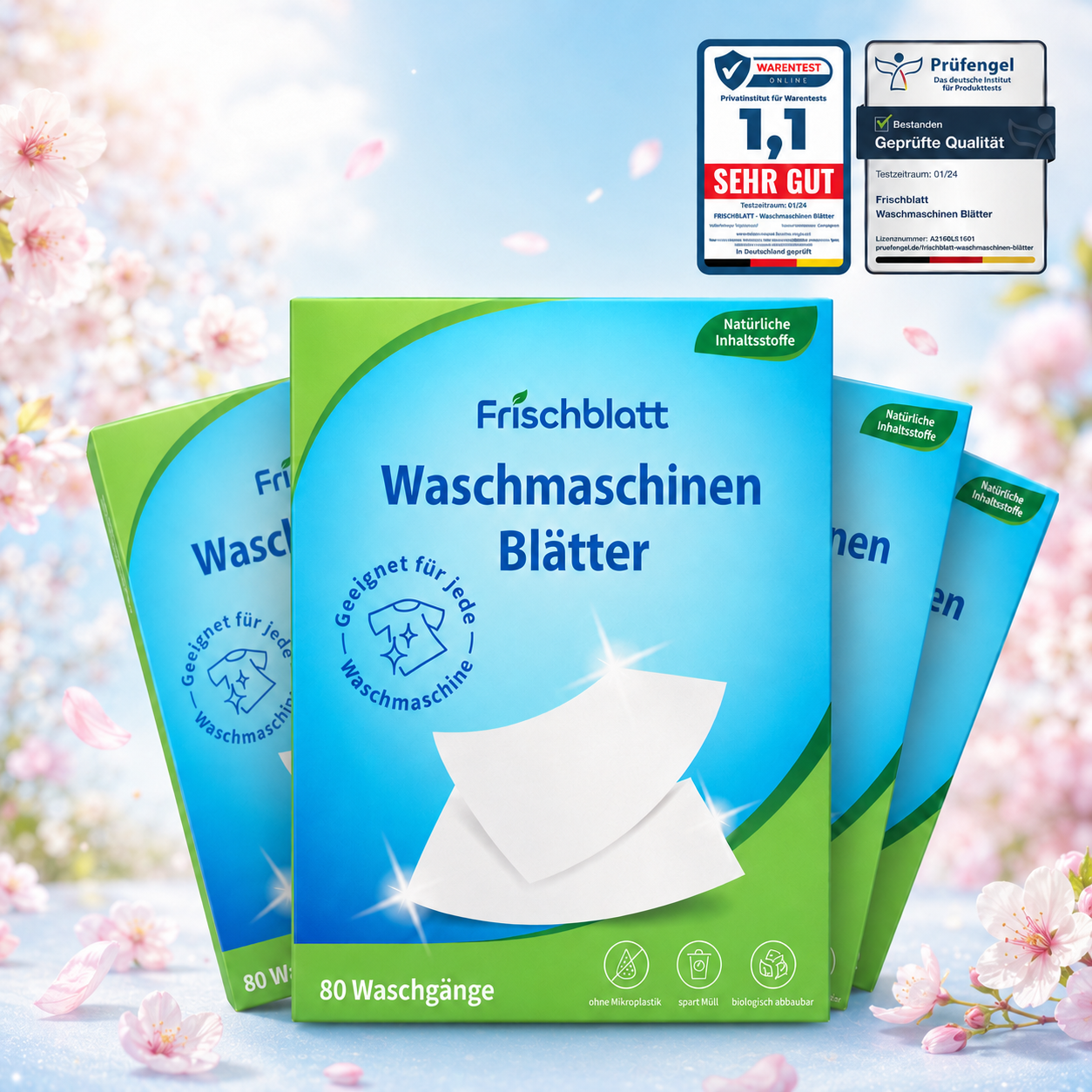 Ansicht 1