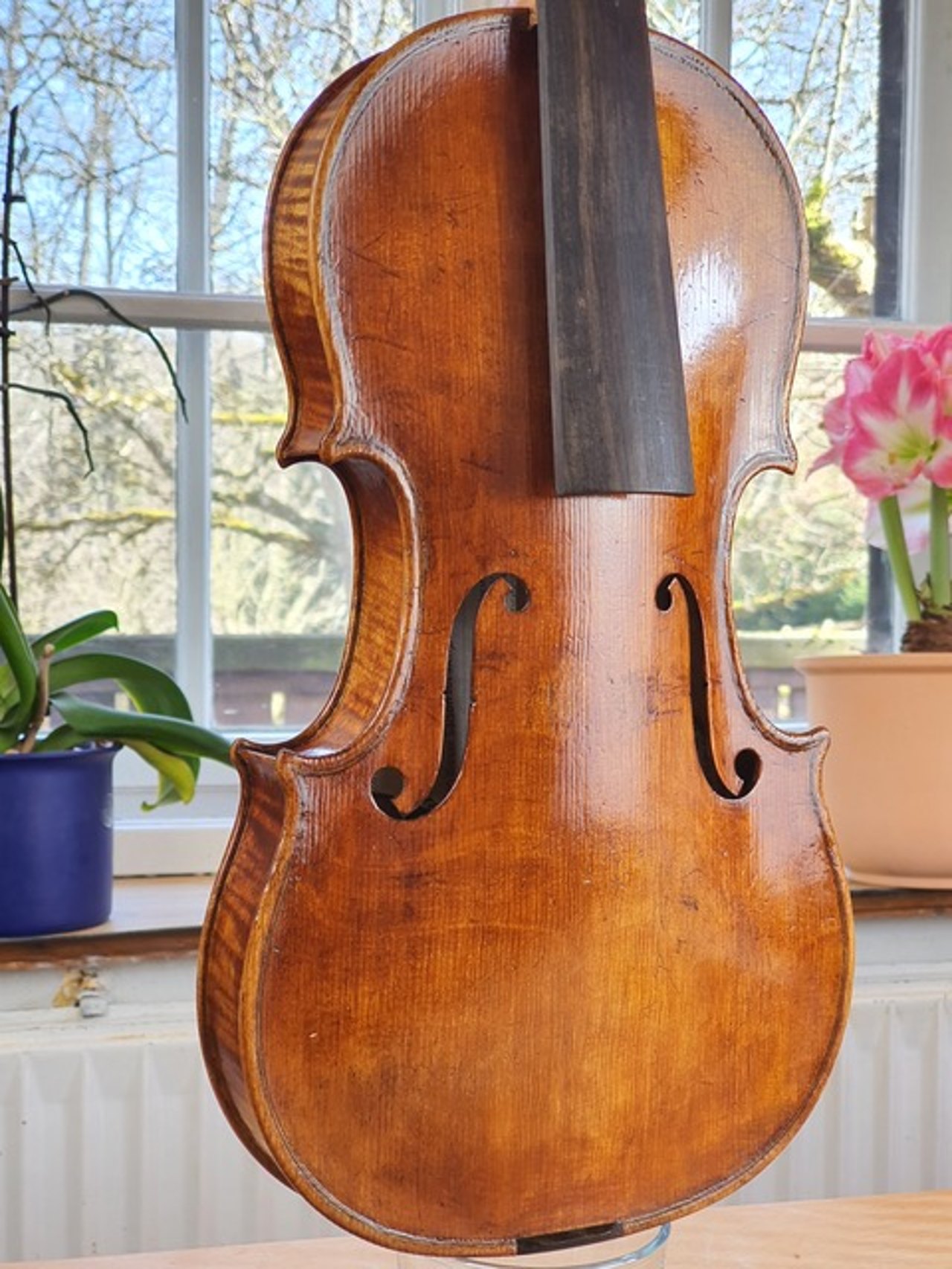 Gealtertes Instrument