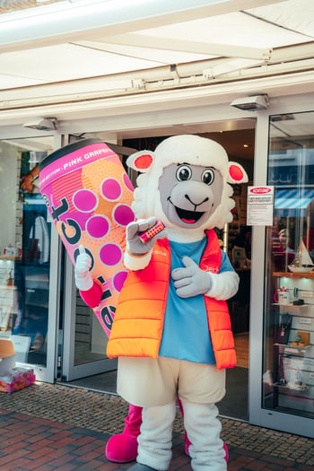 Maskottchen-Kampagne in der Innenstadt