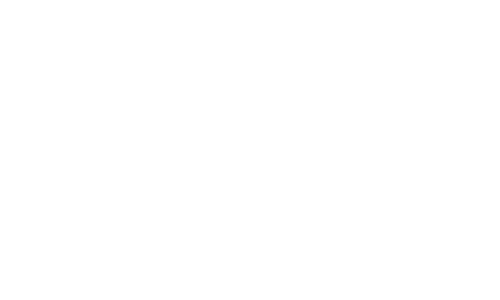Max Bögl