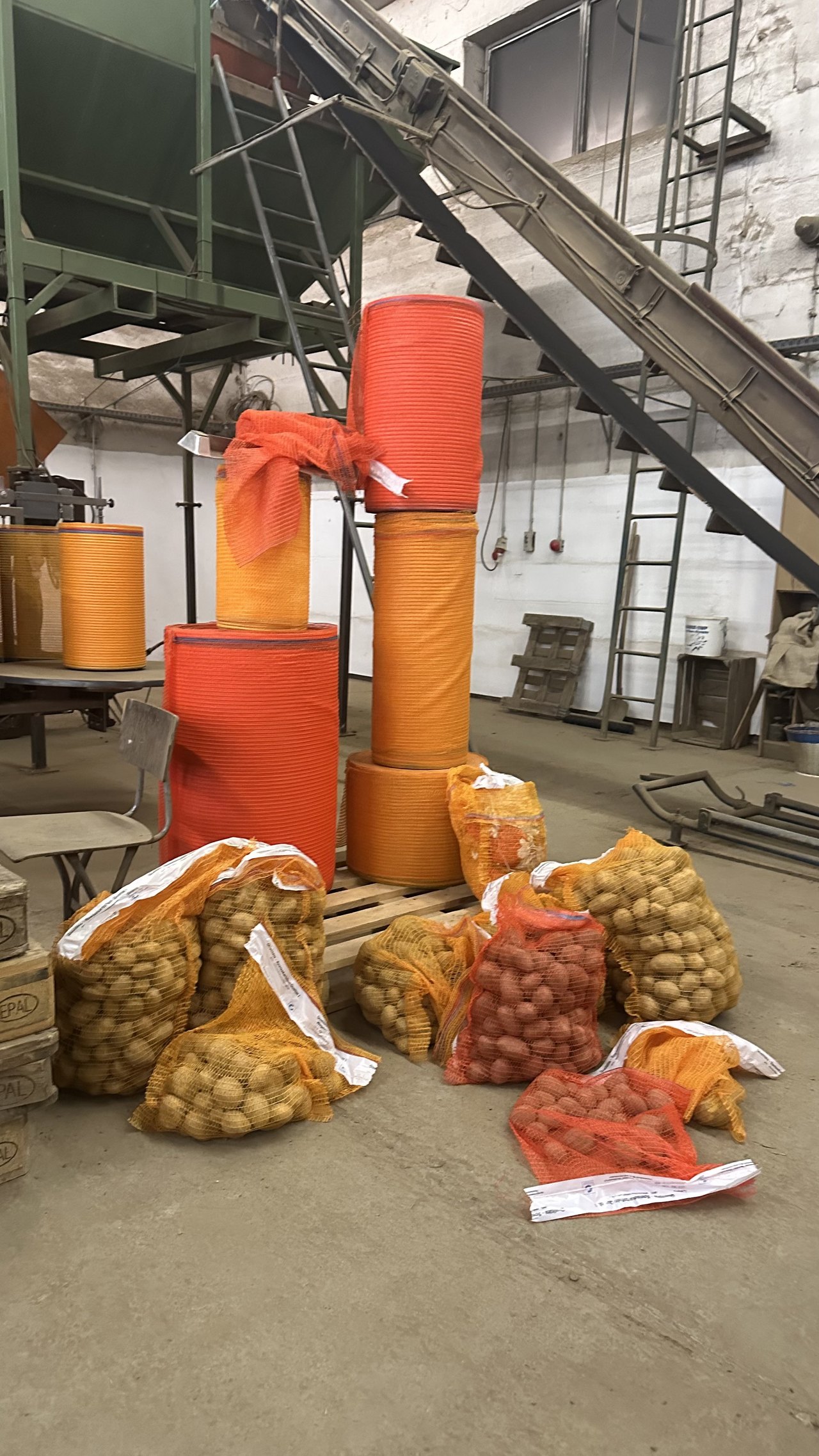 Gefüllte Kartoffelnetze der Agrargenossenschaft Wesenitztal für die Aktion bei Möbel Graf