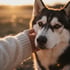 Karine Mastroleo Nase an Nase mit ihrem Hund, im Sonnenlicht