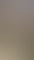 Forstservice Frankfurt (Oder) | Forstservice Winnige
