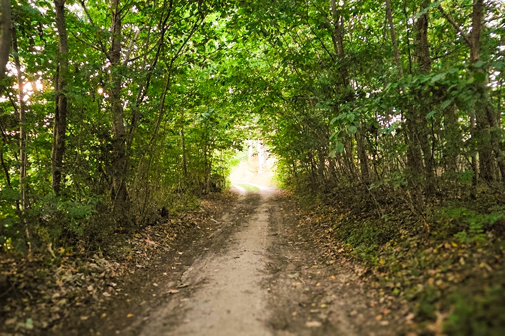 Der „Rund um den See Weg“