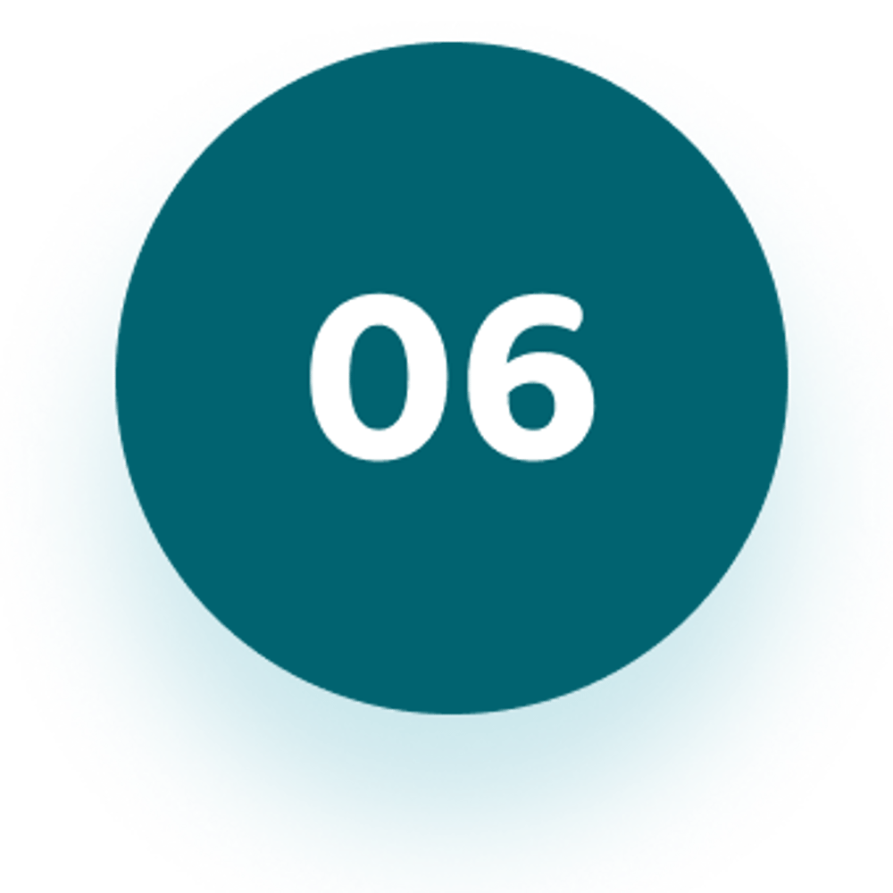 06 Icon