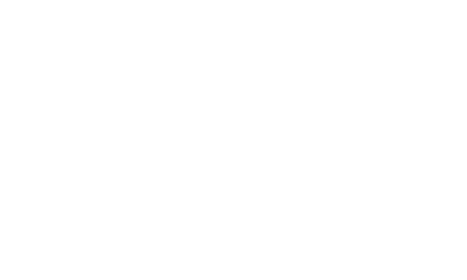 Logo 24