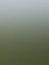Wildzaun entlang einer Feldfläche
