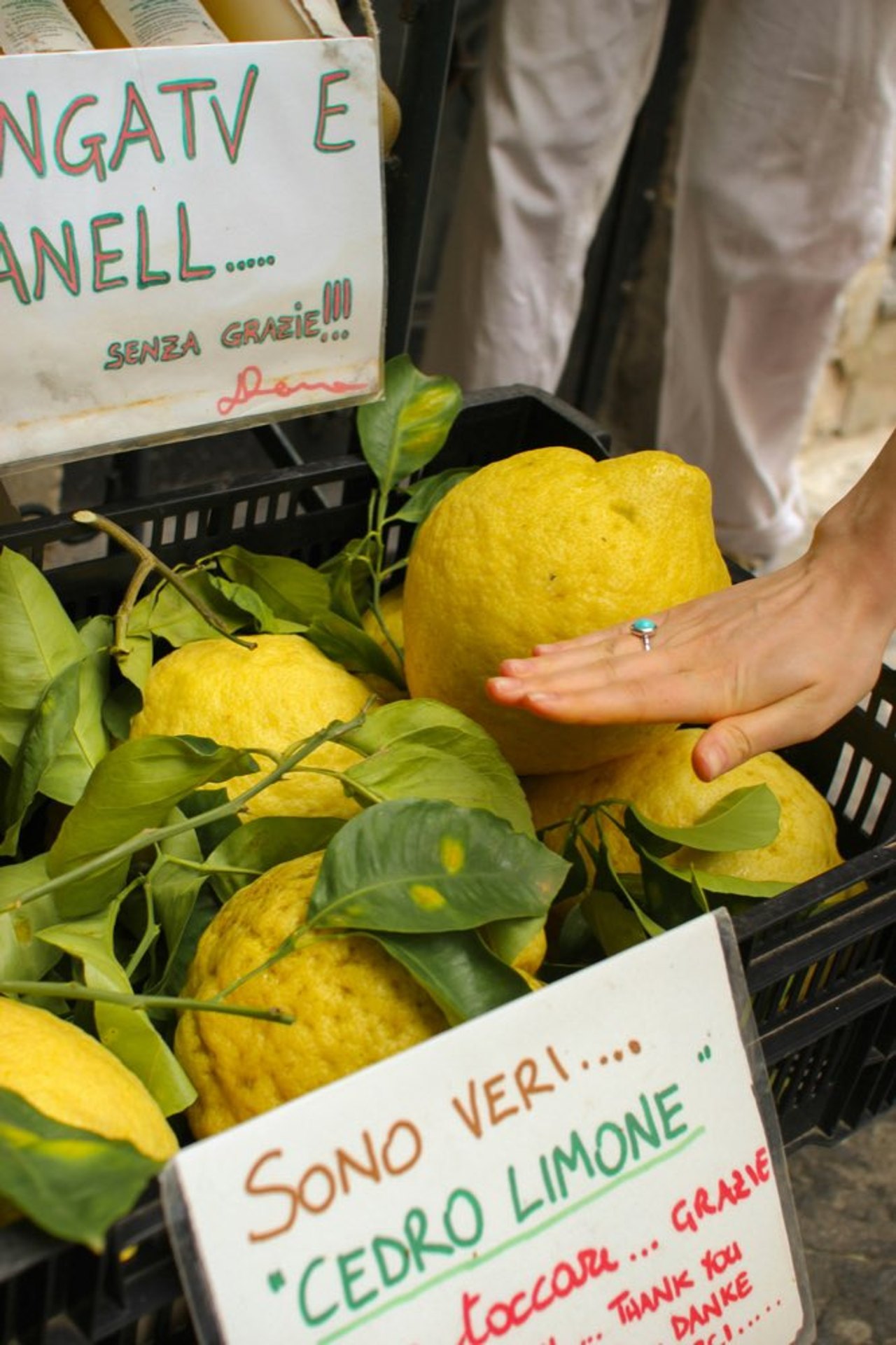 Cedro limone market