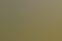 Große Gruppe lächelnder Menschen mit erhobenen Armen vor einer Holzhütte mit orangefarbenen Ballons.