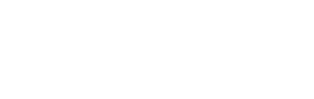 Stefan Radu Investment Consulting Logo weiss