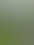 Heckenschnitt in Zürich und Umgebung | Botanica Greiner