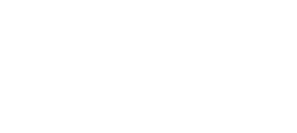 Der Schriftzug "Erik Rulands ADVISORY" in weißer Schrift auf grünem Hintergrund.