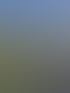 Ein hölzerner Geräteschuppen und eine Mülltonne auf einer Rasenfläche neben einem gepflasterten Weg unter blauem Himmel.