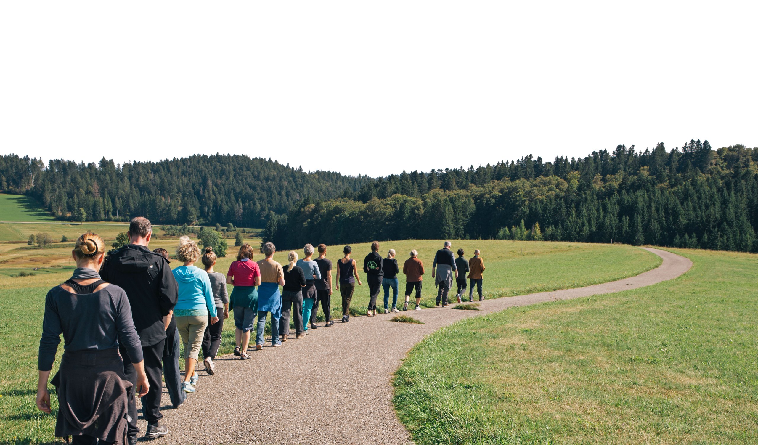 Eine Gruppe geht hintereinander auf einem Feldweg durch Wiesen, dahinter Wald