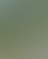 Gartenpflege in Cottbus & Heckenschnitt | Hecken & Halm