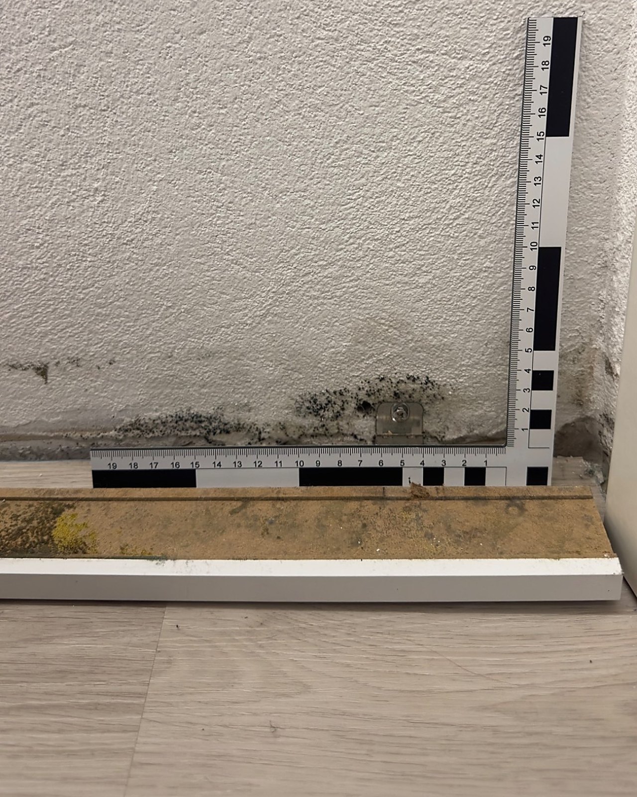 Dokumentierter Feuchte- und Schimmelbefund im Wand-Sockel-Bereich mit Maßstab.