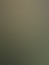 Abstraktes Gemälde mit Lichtstrahlen, "PASSION" und "I am living my best life every day" auf grünem und rotem Hintergrund.