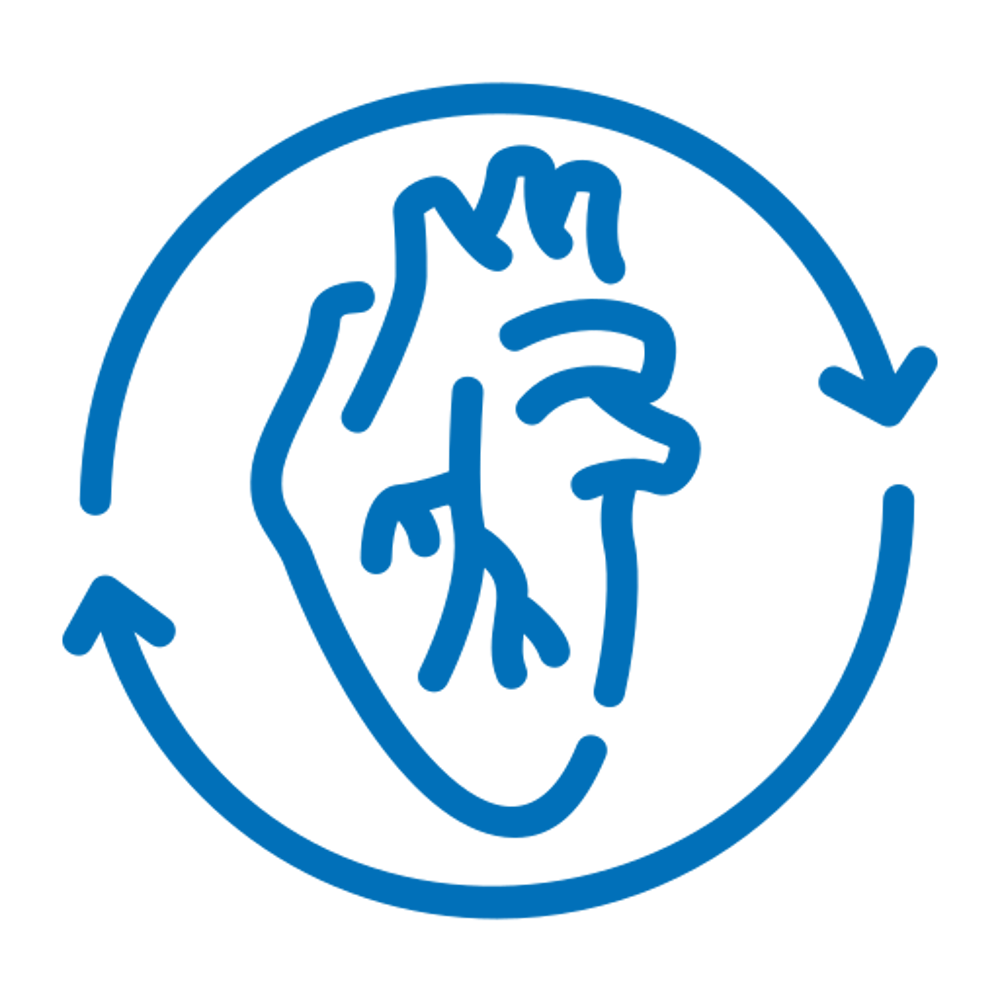 Blaues Symbol eines menschlichen Herzens, umgeben von einem kreisförmigen Pfeil, der eine kontinuierliche Bewegung anzeigt.
