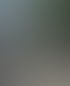 Verzinktes Gartentor aus Doppelstabmatten vor einer gepflasterten Hauseinfahrt mit grünen Hecken.