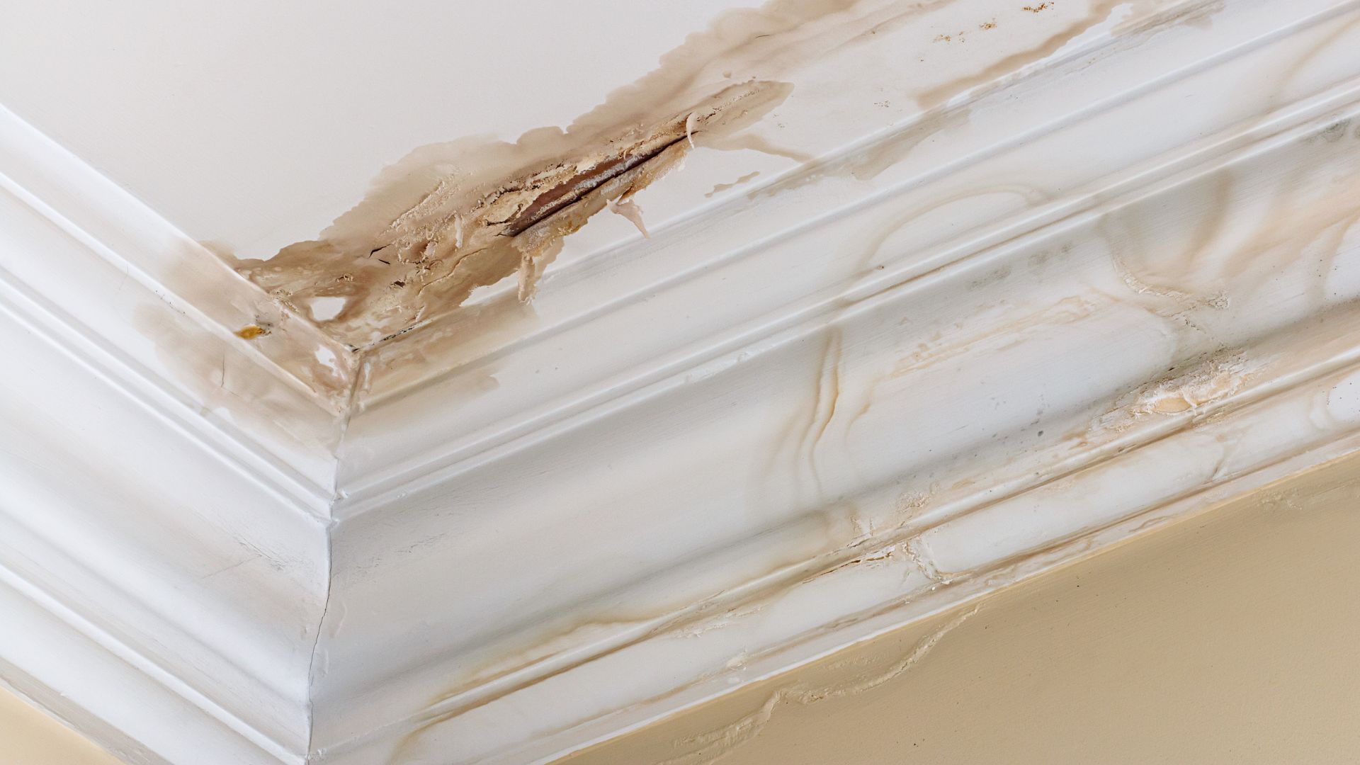How to Prevent Roof Leaks During Rainy Seasons