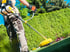 Hausmeisterservice in Bielefeld | SLP Objektservice