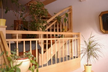 Holztreppe mit Pflanzen