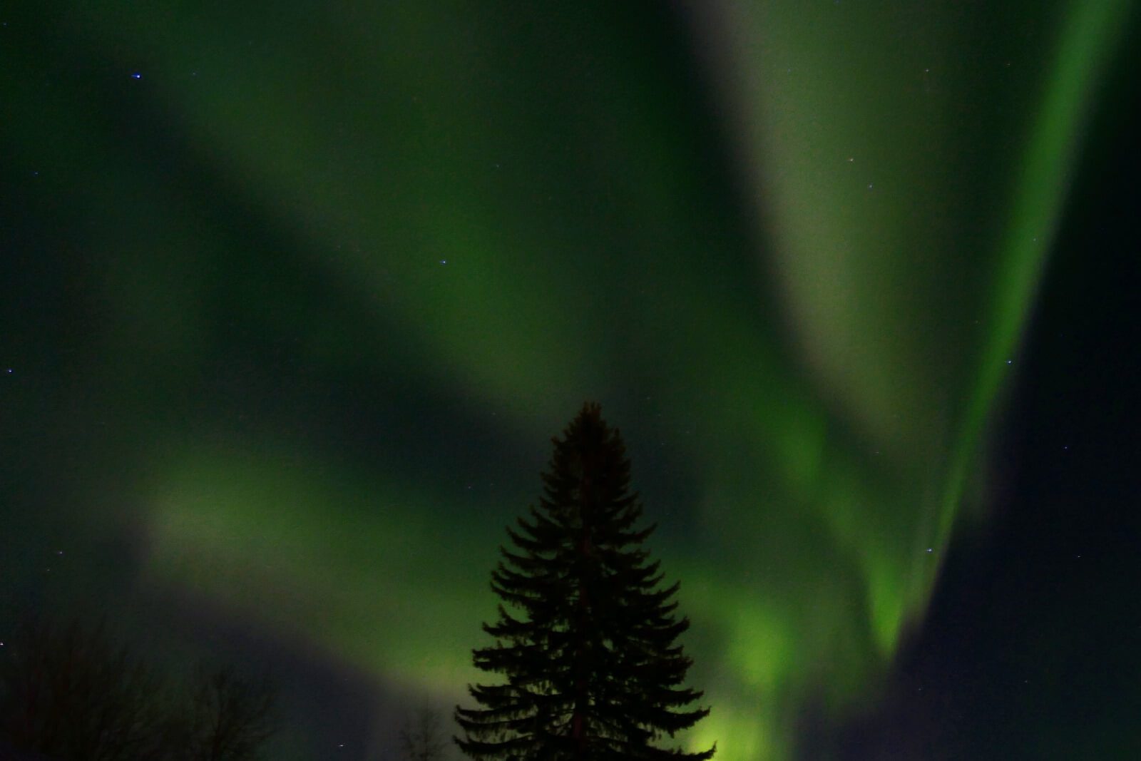 Nordlichter über Schwedisch-Lappland