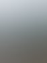 Türkisfarbener MAN Sattelzug mit grauem Anhänger auf nassem Pflaster unter bewölktem Himmel.