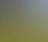 Bunte Glasfaserkabel ragen in einem orangen Schutzrohr aus einem Erdloch im grünen Gras hervor.