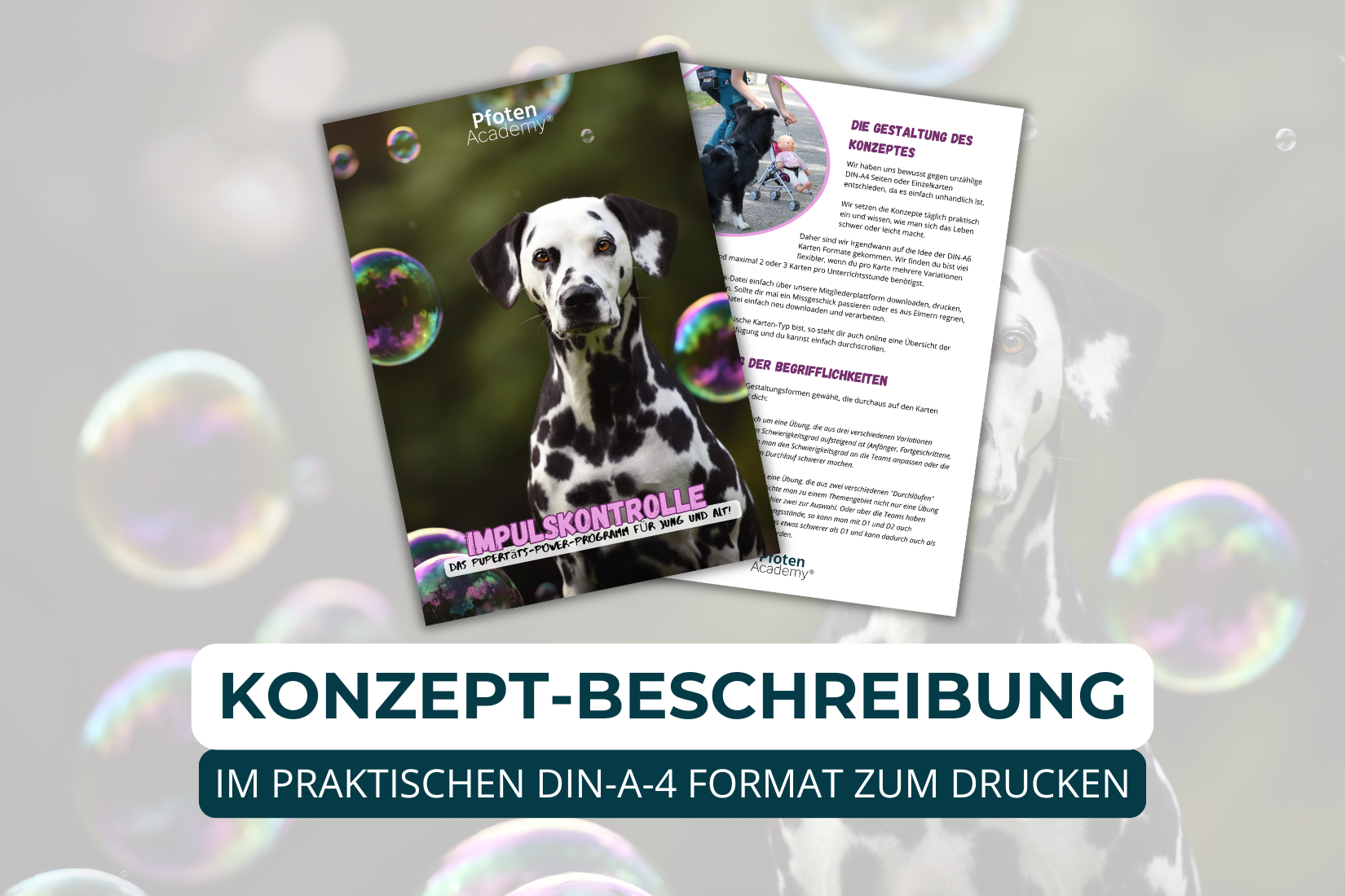 Übungskonzept Impulskontrolle – Bild 2