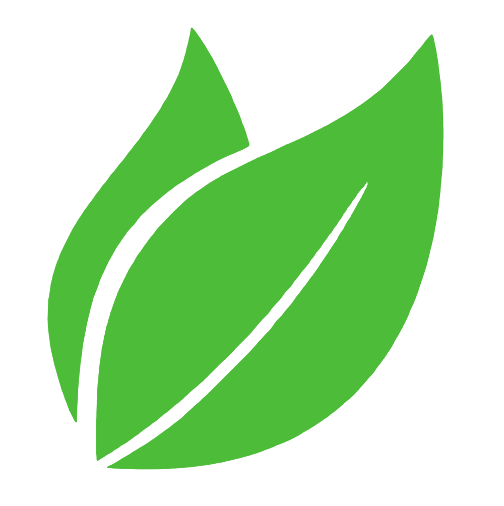 Zwei grüne Blätter auf dunklem Hintergrund.