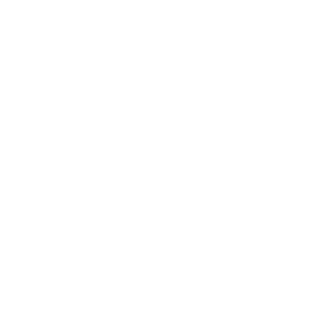 Logo "RICHTER ANWALTSKANZLEI" in weißer Schrift auf dunkelgrünem Hintergrund, mit einer Linie unter "RICHTER".
