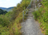 Schmaler Schotterweg neben einer Steintreppe mit Metallgeländer, umgeben von dichtem Grün.