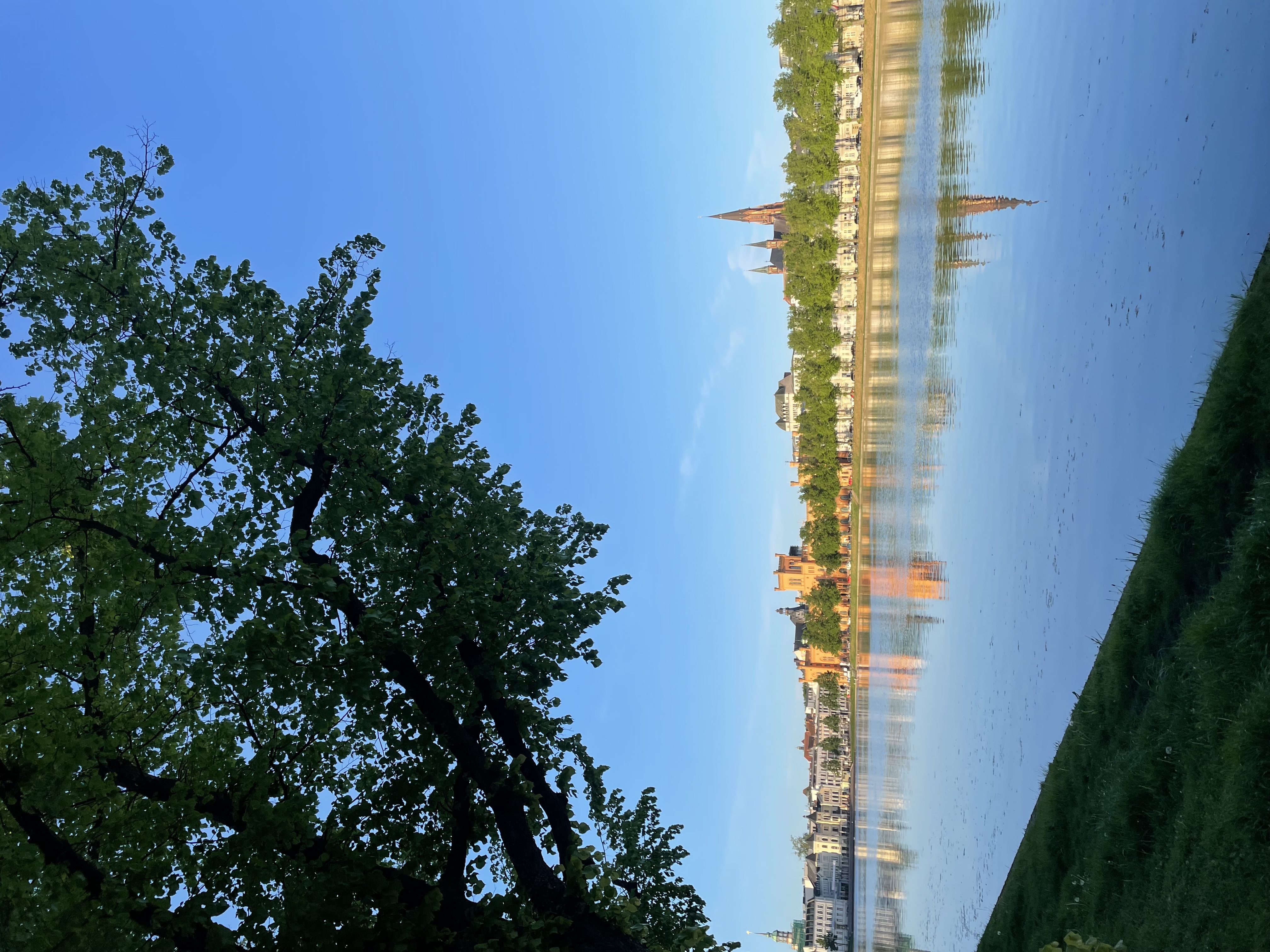 IMG_4808.jpeg