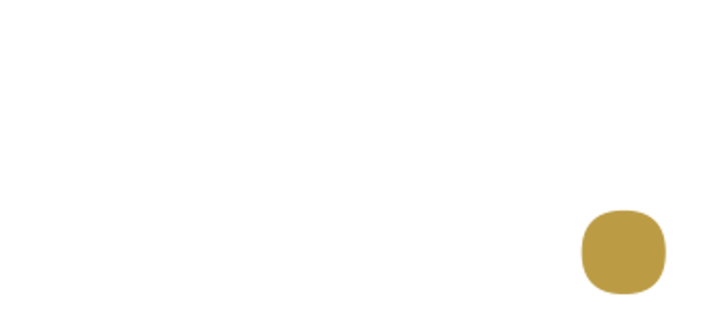 Das Logo von DW Websolutions. Es besteht aus den Buchstaben "DW" in weiß und einem Punkt dahinter in gold.
