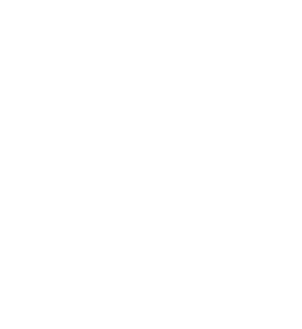 NIRO und KÖGL Logos mit Schriftzug "OFFIZIELLER VIP-PARTNER" und 4 Sternen in Rot auf Grün.