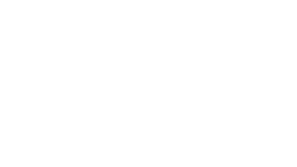 Weißes Nextlevl Research Logo mit einem stilisierten X-Symbol auf schwarzem Hintergrund.