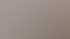 Wohnzimmer mit einer dunkelgrau gespachtelten Akzentwand in Betonoptik, Deckenspots und abgedeckten Möbeln.