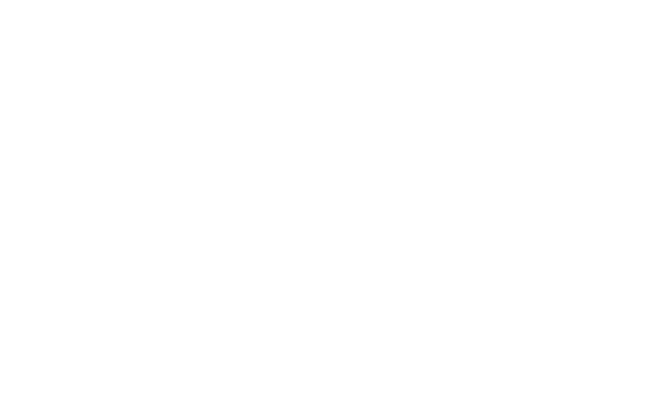 Akquise Bormann