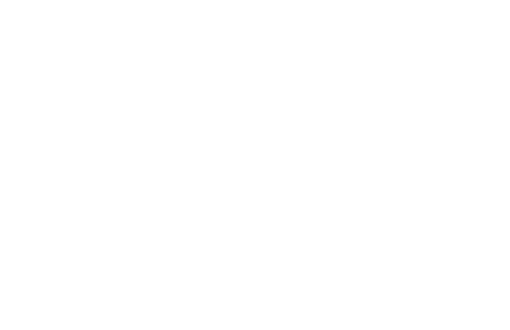 Nasser Besen