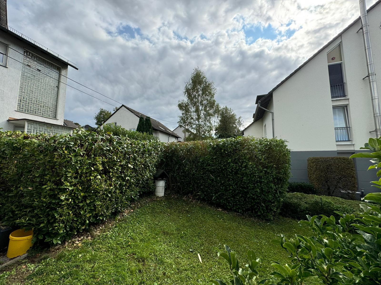Gepflegte Hecke und Rasen an einem Wohnhaus in Oelde