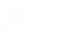 Logo: Weißer Buchstabe H mit Blättern und Wurzeln, daneben "Köhler Garten- und Landschaftsbau" auf grünem Grund.
