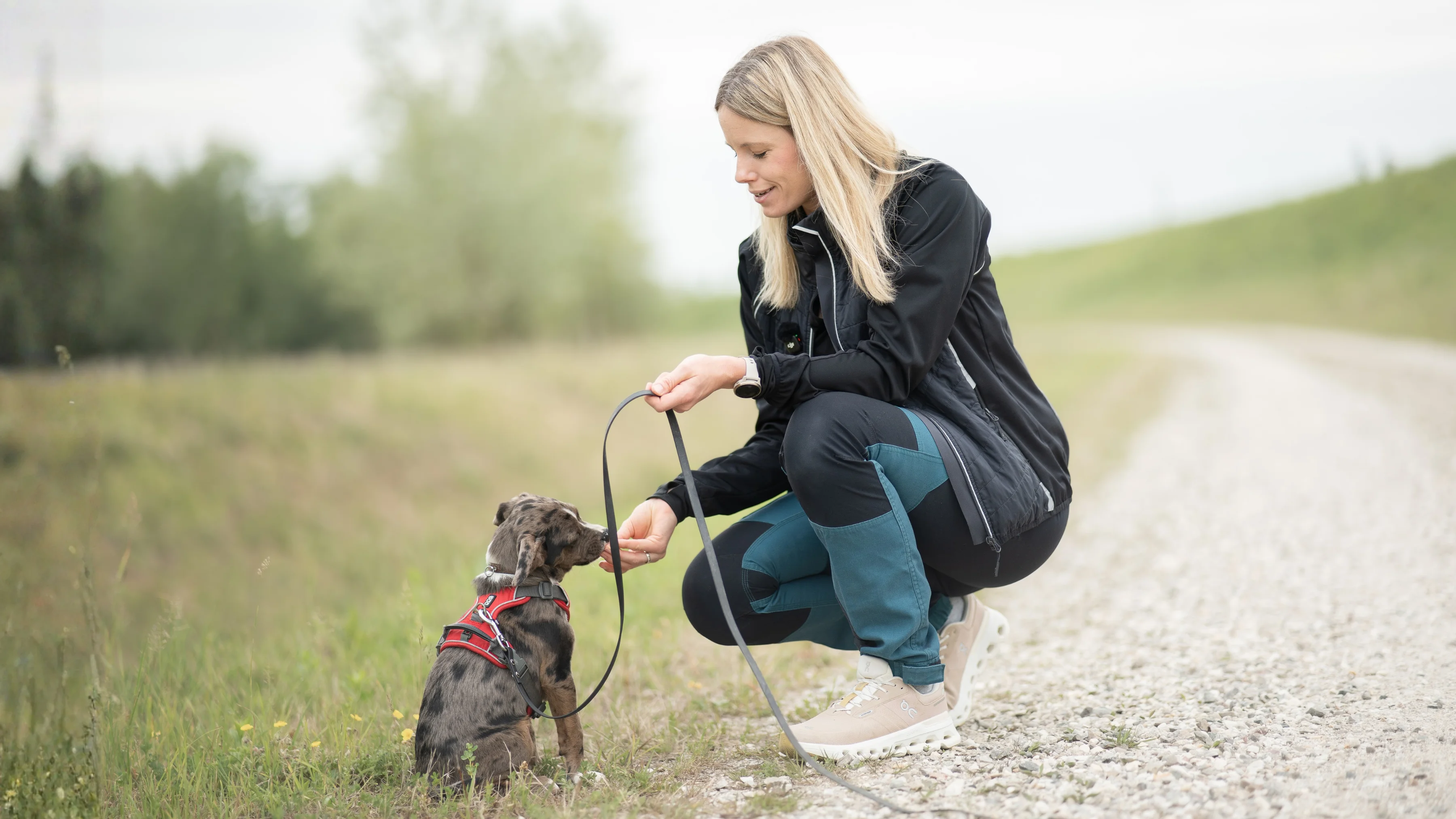 Hundetrainerin Sabrina übt mit Welpe Bruce an der Leine