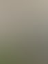 Weiße Gastherme an der Wand neben einem grauen Warmwasserspeicher in einem Heizungskeller mit Rohrleitungen.