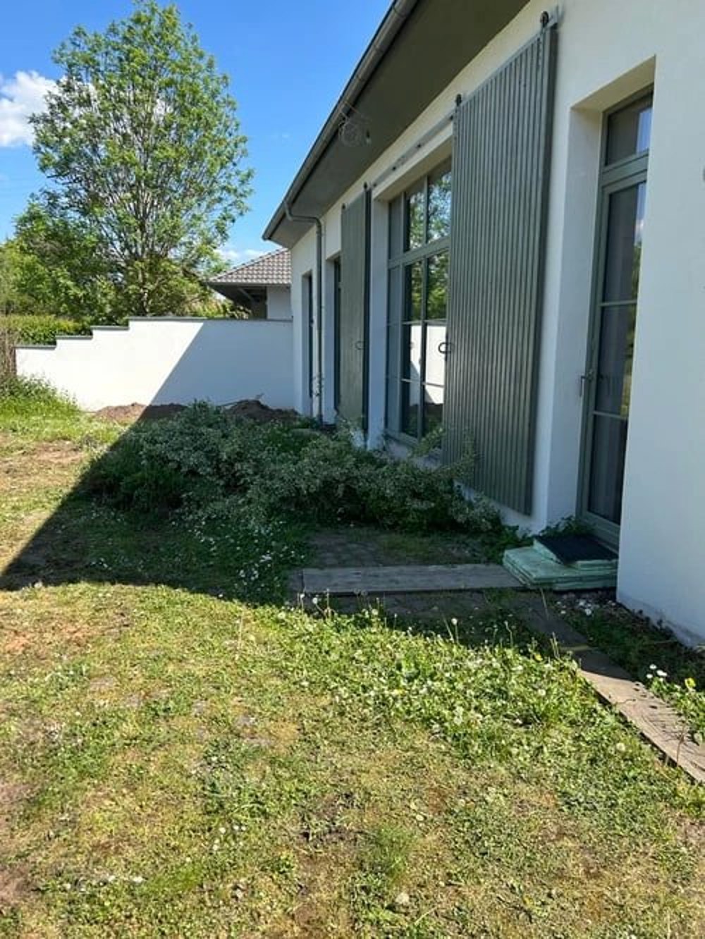 Vorher: verwilderter Streifen mit Gestrüpp entlang der Hauswand